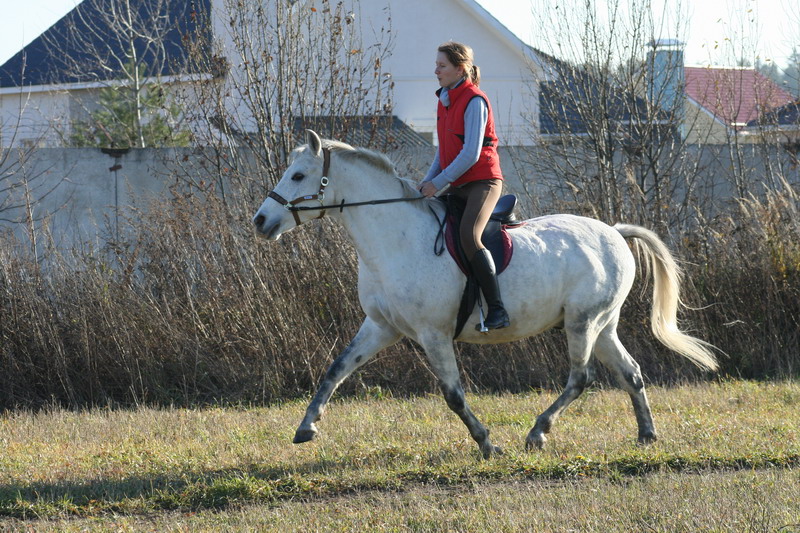 IMG_1009.jpg1.jpg"%20height="533"%20width="800